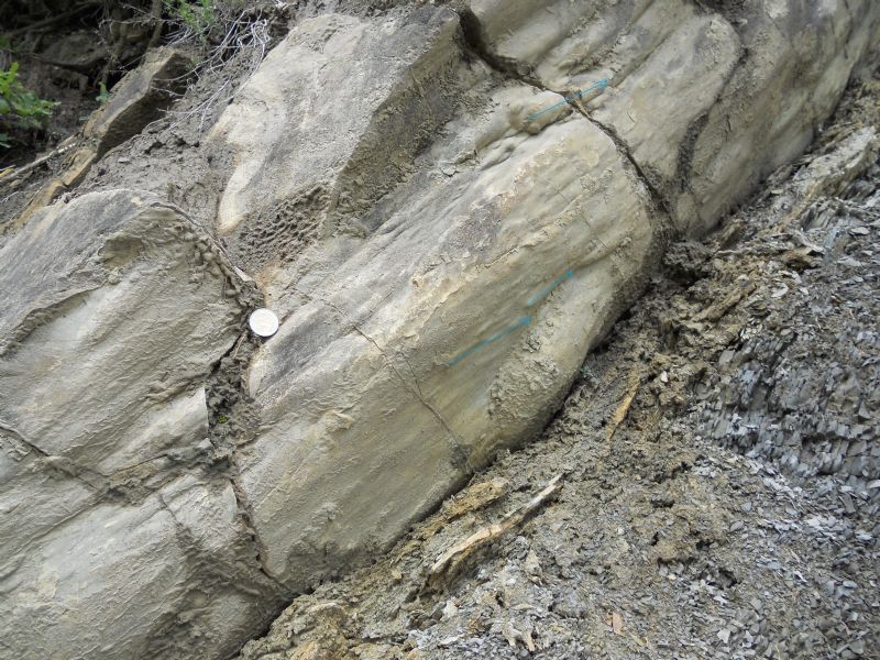 Formazione di Monte Venere